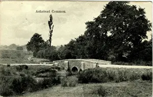 Ashtead: The Bridge, Ashstead Common, Surrey