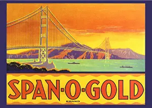 Spanning: Bridge Over the Bay