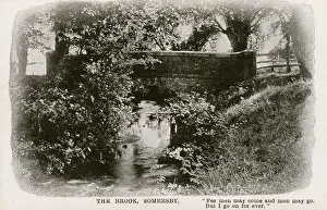 Babbling: Bridge over the Brook at Somersby, Lincs