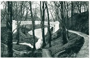 Dene: Bridge Proposal Mill Dene