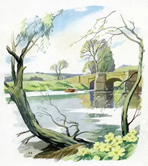 Willows: Bridge over river with primroses