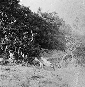 H.m.s: Bridge and road in rural landscape