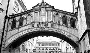 Acanthus: Bridge of Sighs, Oxford