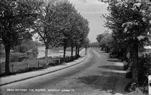 Ringwood: Between the Bridges