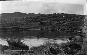 Outcrops: Bridget's Cove, Glengarriff