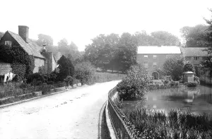 Allington: Bridport, Allington 1902