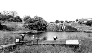 Brierley: Brierley Hill, Delph Locks c1965