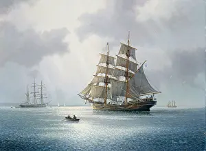 Brigantine: The Brigantine Unicorn