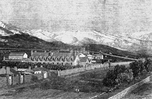 Brigham: Brigham Young