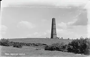 Needle: Brightling Needle