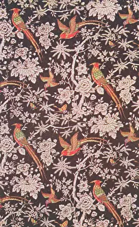 Brightly: Brightly coloured birds on branches