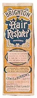 Restoring: Brighton Hair Restorer