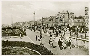 Lawns: BRIGHTON/HOVE PARADE