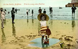Fishy: Brighton Sands