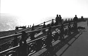 Ironwork: Brighton Seafront
