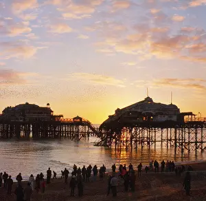 The Peter Obyrne Photographic Collection: Brighton West Pier - Sunset