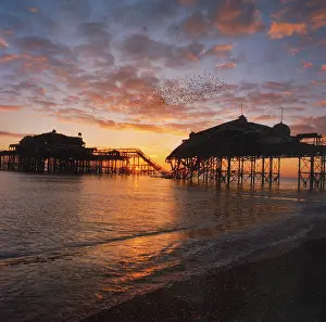 The Peter Obyrne Photographic Collection: Brighton West Pier - Sunset