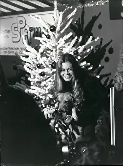 Easily: Brigitte Bardot with dog at Christmas event