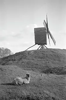 Brill: Brill Windmill, Buckinghamshire