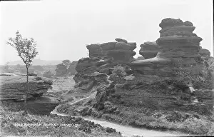 Geological: Brimham Rocks