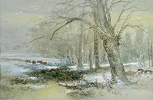 Widgery: Bringing in the Cattle on a Winter's Evening