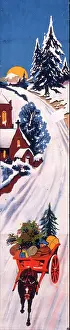 Bring: Bringing home Christmas decorations in the snow