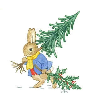 Bringing Home the Christmas Tree