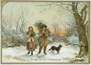 Faggots: Bringing Home the Holly