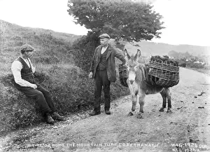Bringing: Bringing Home the Mountain Turf, Co. Fermanagh