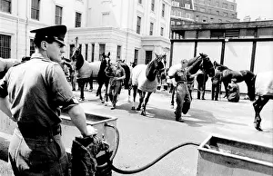 Horseguards: Bringing horses to water