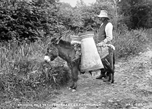 Bringing: Bringing Milk to the Creamery, Co Fermanagh