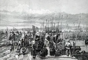 Bringing: Bringing in the sardine catch on the coast of Brittany