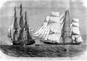 Brisk: BRISK AND SLAVER