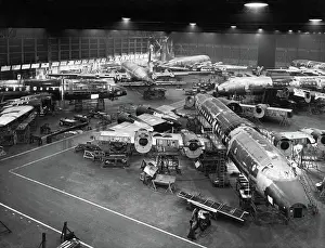 Four Engine: Bristol B-175 Britannia