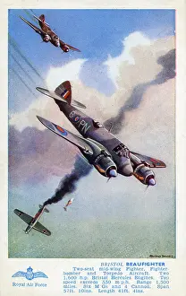 Fighter Bomber: Bristol Beaufighter