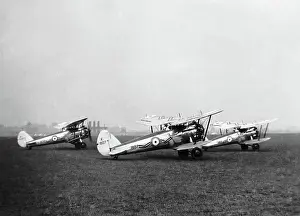 Bristol Bulldog