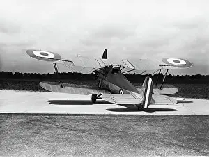 Rafbristol: Bristol Bulldog