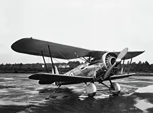 Rafbristol: Bristol Bulldog