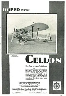 Doped: The Bristol Bulldog Fighter Is Doped With Cellon