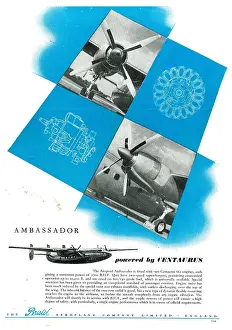 Centaurus: Bristol Centaurus - Airspeed Ambassador