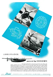 Centaurus: Bristol Centaurus - Airspeed Ambassador