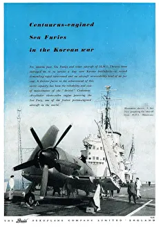 Centaurus: Bristol Centaurus - Sea Furies In Korea
