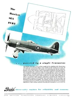 Centaurus: Bristol Centaurus - Sea Fury