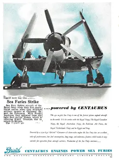 Centaurus: Bristol Centaurus - Sea Fury