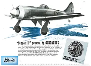 Centaurus: Bristol Centaurus - Tempest II