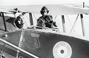 Two Seat: Bristol F-2 Fighter