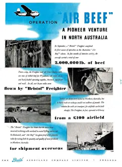 Wayfarer: Bristol Freighter - Bristol Wayfarer - Bristol Type 170