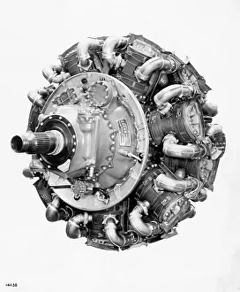 Piston: Bristol Hercules