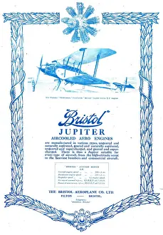 Vildebeest: Bristol Jupiter - Vickers Vildebeest