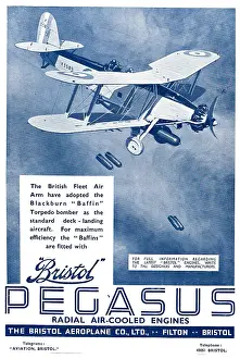 Baffin: Bristol Pegasus Aero Engine Blackburn Baffin K3589